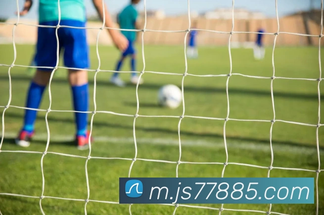 金沙国际娱乐城品牌故事