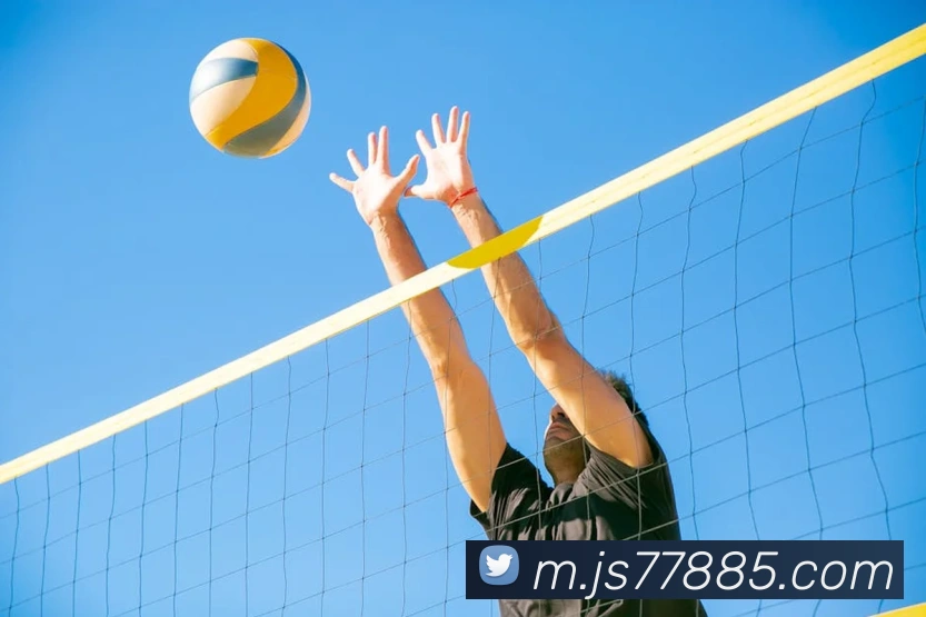 金沙国际娱乐城服务体系