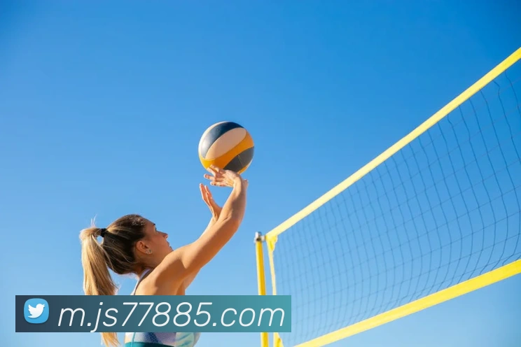 多媒体互动体验